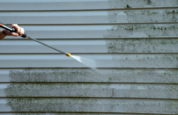 Best Mold Removal Process  in Ben Wheeler, TX